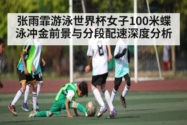 张雨霏游泳世界杯女子100米蝶泳冲金前景与分段配速深度分析 | kaiyun